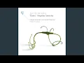 Download Lagu Threni, Id est lamentationes Jeremiae Prophetae, De elegia tertia: II. Sensus spei