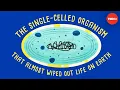 Download Lagu How a single-celled organism almost wiped out life on Earth - Anusuya Willis