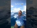 Download Lagu Swimming with HUMPBACK WHALES  in the deep blue ocean 😭♥️ #freediving #diving