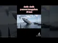 Download Lagu semoga tenang di alam sana