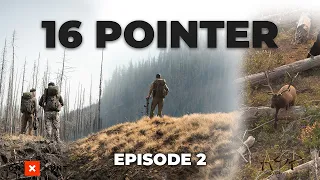 16 POINTER - EP 2