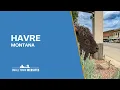 Havre MT