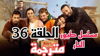 مسلسل طيور النار الحلقة 36مترجمة بالعربية 
