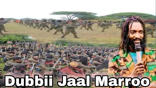 Akeekkachiisaaf Dhaamsa Dubbii Jaal Marroo Walitti Fufaa 