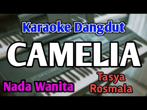 Download MP3 CAMELIA - KARAOKE || NADA WANITA CEWEK || Versi Dangdut Rampak || Tasya Rosmala || Live Keyboard