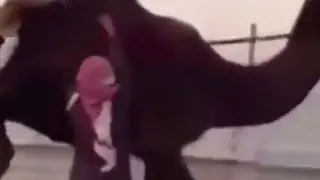 سلم قدهو على الطيب ضاري 