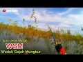 Download Lagu WGM .TERBARU ... Sak Gendeng Gendeng Simak Video Saya.......