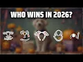 The Top 5 Best Dalmatian Ears in 2026 - Must Watch Before Buying