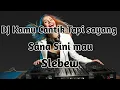 Lagu DJ Kamu Cantik Tapi sayang sana sini mau Slebew Remix