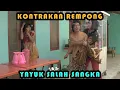 Download Lagu YAYUK SALAH SANGKA || KONTRAKAN REMPONG EPISODE 343