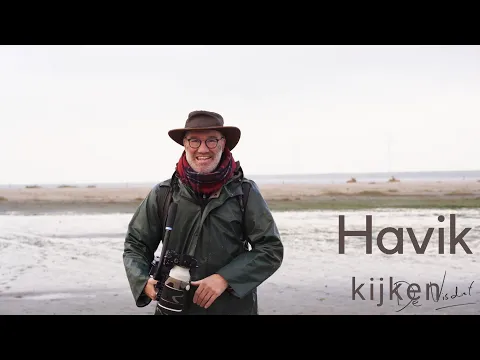 Download MP3 Havik kijken / Observing a Hawk #500