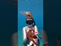 Download Lagu Watch this baby octopus grow up! #ocean #babyoctopus #octopus #shorts 📷: jennakonyok