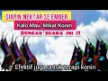Download Lagu Suara Pikat Burung KOLIBRI NINJA RIBUT Dijamin Jos