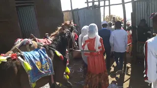 Sirbaa Cidhaa Addaa Oromoo 