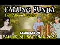 Download Lagu CALUNG SUNDA || FULL ALBUM POPULER || CALUNG PALING TENAR 2025 