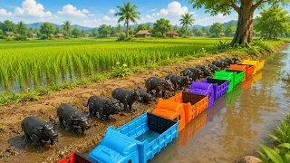MENOLONG Sapi, Kerbau, Gajah, Unta, Singa, Harimau & Panda Terjebak di Kolam Lumpur! 🐄🐘🦁🐯🐼