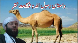 داستان شکایت شتر به رسول الله الحاج مولانا مجیب الرحمن انصاری Local Handicrafts 