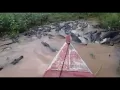 Download Lagu Huge basks of crocodiles in Indonesia making way for boat