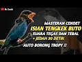 Download Lagu NGERIIII..!!!MASTERAN CENDET ISIAN TENGKEK BUTO || SUARA TEGAS DAN TEBAL !!