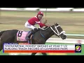 Phenomenal Power Breaks 43 7 Furlong Track Record At Caymanas Park TVJ Sports