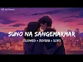 Lagu Suno Na Sangemarmar (Slowed + Reverb) | Arijit Singh | Youngistaan | Lofi Mix | SSR Lofi