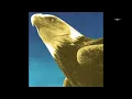 Protomartyr - Sounds We Cannot Hear