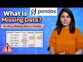 L-14 Pandas Tutorial Handling Missing Data NaN Explained
