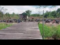 Download Lagu Momen ini sangat di rindukan warga perantau dan penduduk transmigrasi sepunggur kalimantan utara