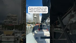 Giving my boat Phoenix away. NOT MY KITTY PHOENIX lol for more details read caption on my instagram.