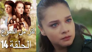 14 مسلسل لتر دموع الحلقة  14 مسلسل لتر دموع الحلقة