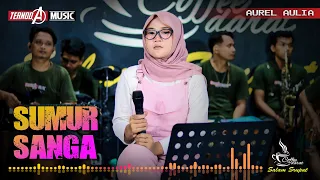sumur sanga aurel aulia ternoda music