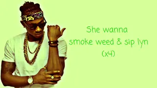 christoph the change weed u0026 lyn official lyrics video mp4 