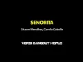 Download Lagu SENORITA VERSI KOPLO TIME