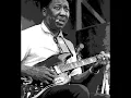 Muddy Waters - I Am The Blues