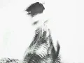 Lil Moshpit - THRILL (Feat. Lancey Foux, HAON) (Official Visualizer)