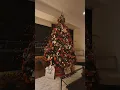 Download Lagu Navidad 2024 #christmas