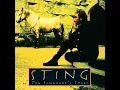 Shape Of My Heart - Sting