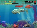 Feeding Frenzy - PC Longplay