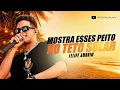 MOSTRA ESSES PEITO NO TETO SOLAR - Felipe Amorim 