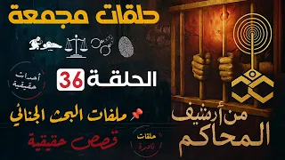 حلقات مجمعة مـــن أرشــــيف المحـــــاكــــم الحلقة 33 اغرب القضايا من ارشيف المحاكم المصرية ج6 