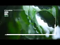 Jason Hersco – Everytime [Apparel Music]