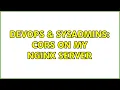DevOps SysAdmins CORS on my NginX server