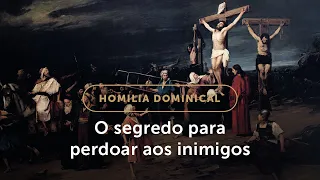 Homilia Dominical | O amor aos inimigos e a misericórdia de Deus (7º Domingo do Tempo Comum)