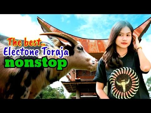 Download MP3 Lagu Electone Toraja pilihan terbaik sepanjang tahun 2023 - 2024