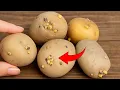 Download Lagu Sprouted Potatoes Are a Treasure. Don't Throw Them Away!|Clever Tricks