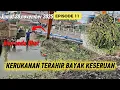 Lagu ‼️ EPISODE 11 kerukan terahir BAYAK keseruan kali rengasdengklok