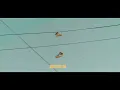 NEIKED ft. Arden Jones - 'Looking For Something' [Official Visualizer]