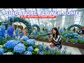 Most Beautiful Singapore Garden Tour Singapore Flower Dome Blue Beauties 2026
