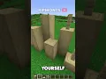Minecraft wall design
