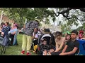 "Green Rose Hula" - Kuana Torres Kahele & Hālau Māluaki’iwailehua